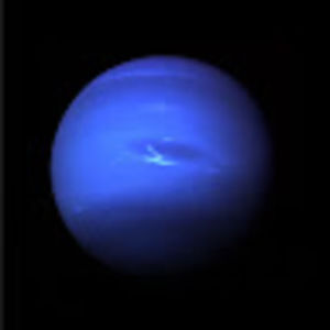 Meet your Posher, Mara